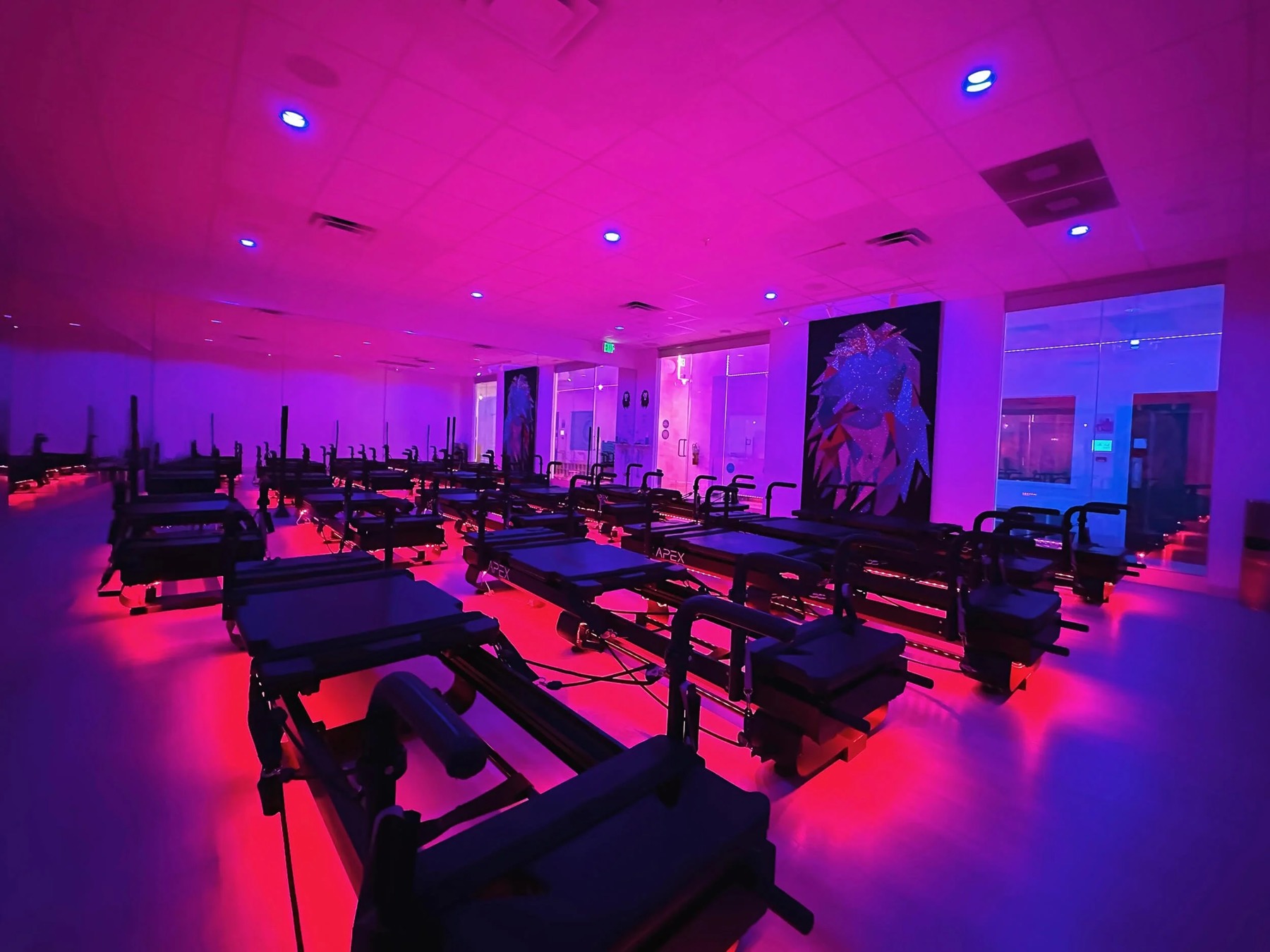 The APEX studio under class lighting